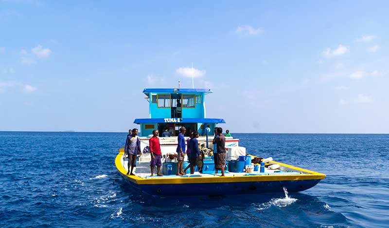 މިފްކޯއަށް މަސްކިރުވާ ދޯނީގެ އަދަދު އިތުރުވެއްޖެ!