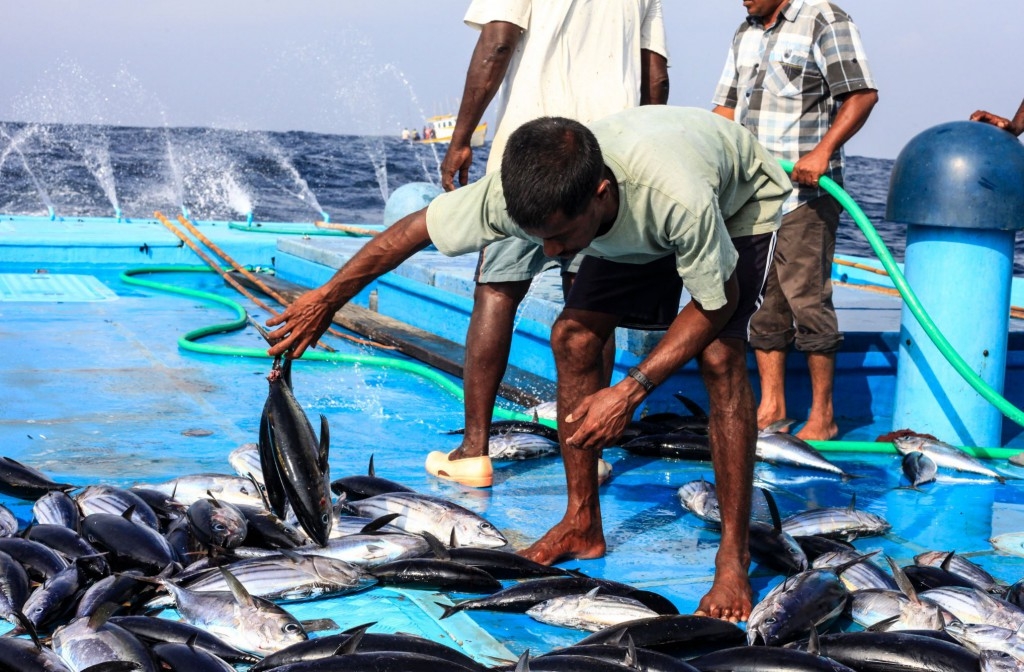 ސަރުކާރުން އަޅާ 4 އައިސްޕްލާންޓެއް ނިންމާ މި އަހަރު ބޭނުންކުރަން ފަށަނީ