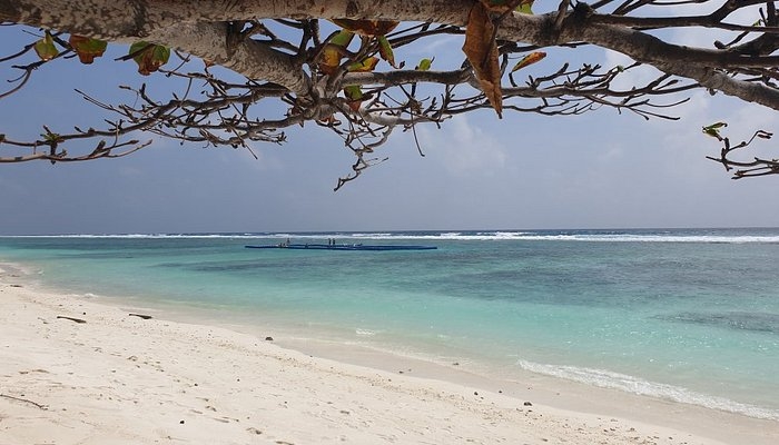 ހުޅުމާލެ ފަޅުތެރެއަށް ފޭބި މީހަކު ގެއްލިއްޖެ