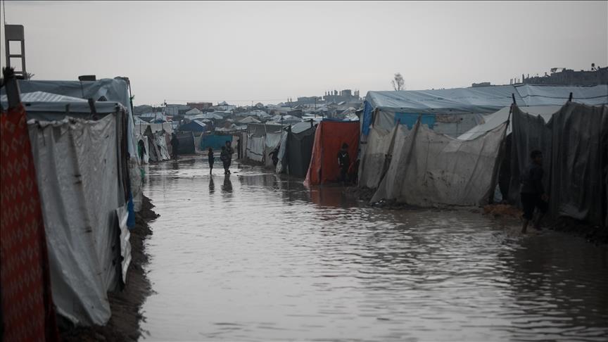 ޣައްޒާގައި ފިނިގަދަވެ ލޭގަނޑުވެގެން ތުއްތު ކުދިން ނިޔާވަނީ!