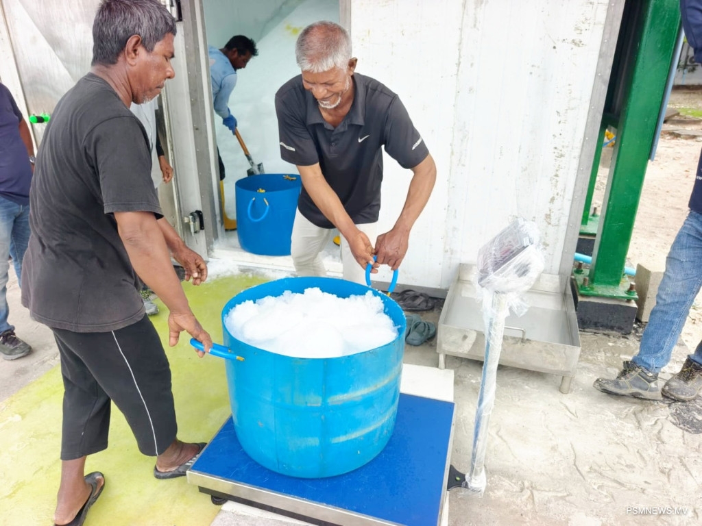 ކަނޑުއޮތްގިރިން މަސްވެރިންނަށް އައިސް ވިއްކަން ފަށައިފި