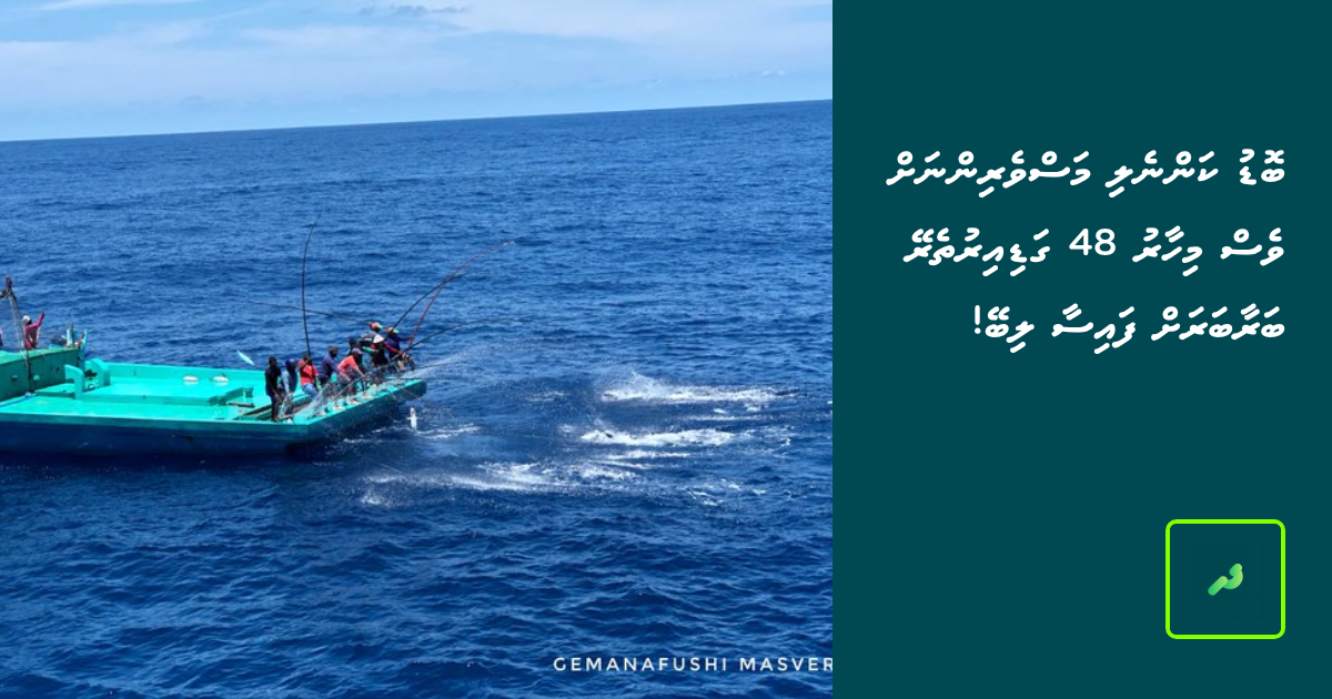 Bodu Kanneli Masverinnah Ves Mihaaru 48 Gadiirutherey Baraabarah Faisa ...